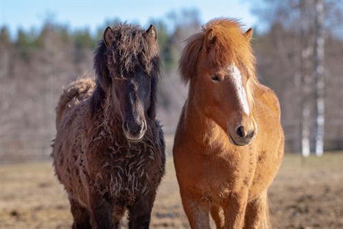 Adobestock 296699471