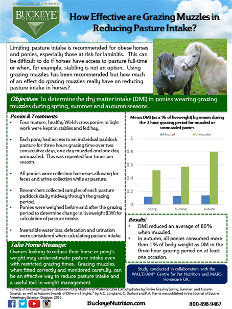 Grazing Muzzles Ponies March 2016